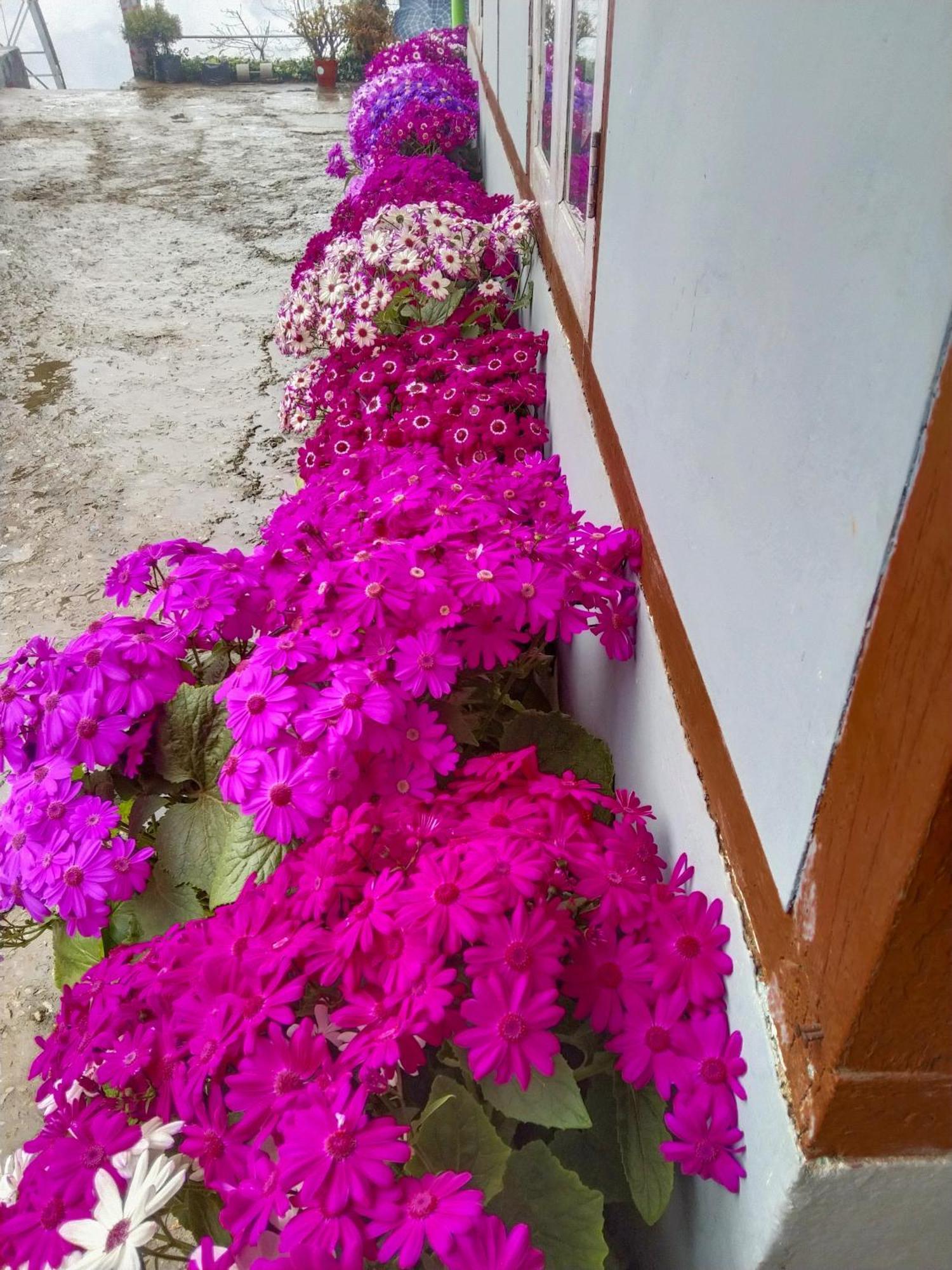 The Himalayan Resort Ravangla Zewnętrze zdjęcie